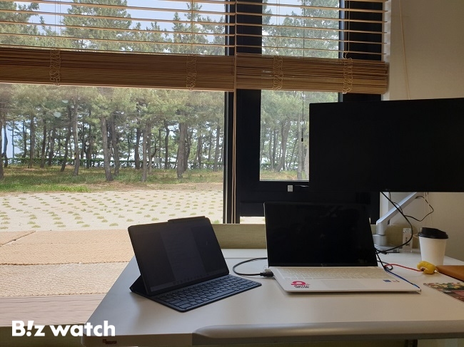 LG유플러스가 마련한 워케이션 오피스 업무 공간에서 창밖을 보면 소나무와 바다가 있다./사진=김동훈 기자