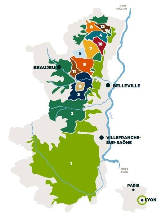 보졸레 텐 크뤼 인터 보졸레 제공