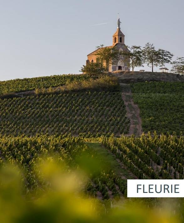 플뢰리 전경. 소펙사 코리아 제공