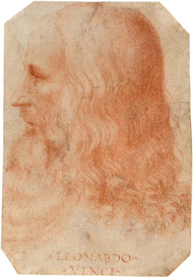 레오나르도 다빈치의 제자 프란체스코 멜치가 1515-1518년 사이에 그린 레오나르도 다빈치의 초상화. 다빈치의 모습으로 알려진 그림들의 진위 여부가 논란 중이기 때문에 현재 유일하게 인정받고 있는 레오나르도 다빈치의 실제 모습이다. 로열 컬렉션 트러스트