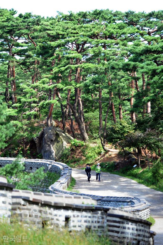 탐방객이 남한산성 주변 울창한 소나무 숲을 걷고 있다. 한국일보 자료사진