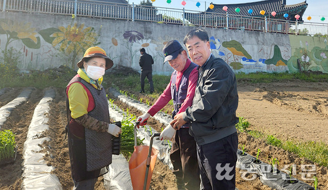 마기성 강원 횡성농협 조합장(오른쪽)이 최근 지역 내 옥수수농가를 찾아 옥수수 심는 작업을 돕고 있다.