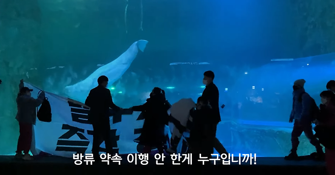 현수막을 떼고 난 자리에 남은 테이프 자국. 핫핑크돌핑스 유튜브 갈무리