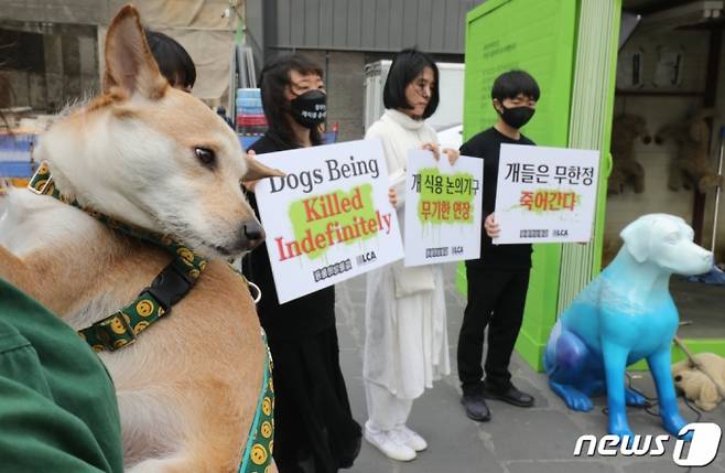 (서울=뉴스1) 송원영 기자 = 23일 서울 서대문구 신촌 유플렉스 앞 스타광장에서 동물해방물결 회원들이 '국제 강아지의 날'을 맞아 개 식용 문제의 종식을 촉구하는 기자회견을 하고 있다. 국제 강아지의 날은 2006년 미국의 반려동물학자인 콜린 페이지의 제안으로 만들어진 날로, 매년 3월 23일이다. 국제 강아지의 날 제정은 세계 모든 강아지들을 사랑하면서 보호하는 것은 물론 유기견 입양 문화를 정착시키자는 취지로 이뤄진 것이다. 2023.3.23/뉴스1 Copyright (C) 뉴스1. All rights reserved. 무단 전재 및 재배포 금지.