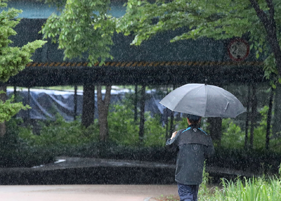 어린이날인 지난달 5일 비가 내리는 서울 성동구 서울숲에서 한 시민이 우산을 들고 걸어가고 있다. [사진=뉴시스]
