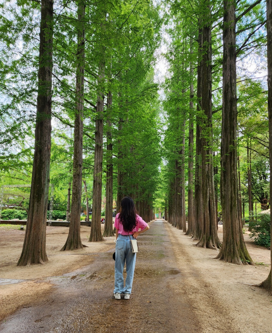 The metasequoia grove on Nami Island is the main photo zone for the visitors. [KIM DONG-EUN]