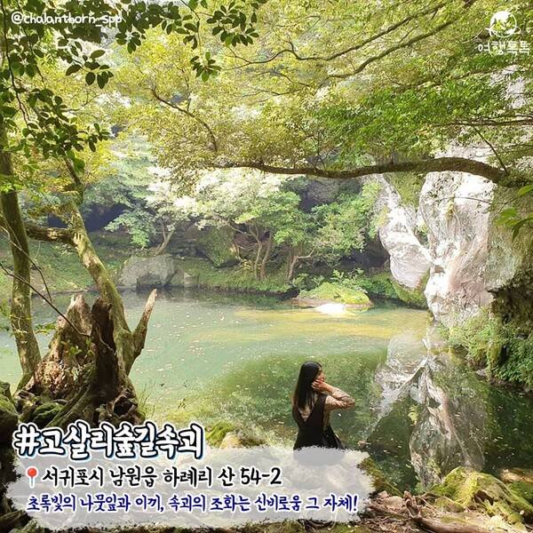 7월 제주 가볼만한 곳 / ⓒ여행톡톡 / 사진 @chalanthorn_spp