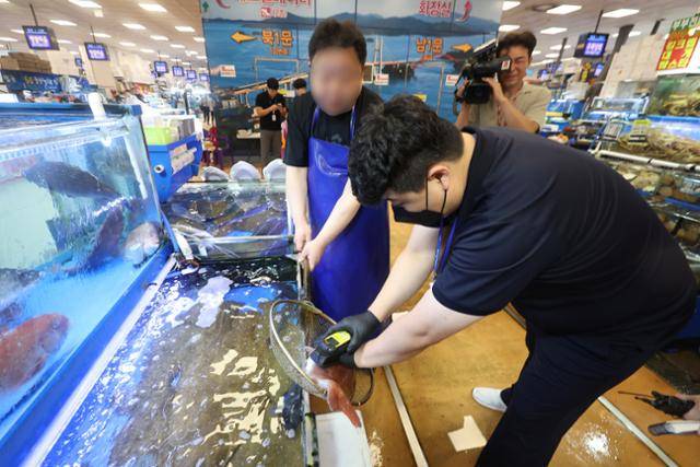 수협노량진수산주식회사 직원들이 5일 수산시장에서 수산물 방사능 측정을 하고 있다. 연합뉴스
