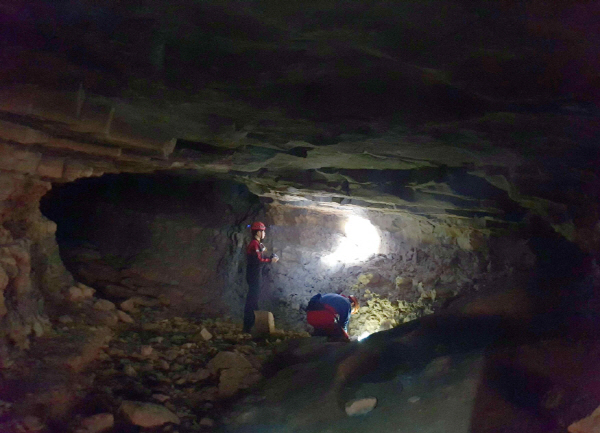 연구진이 합천의 동굴에서 한국구슬거미를 조사하고 있다. 환경부
