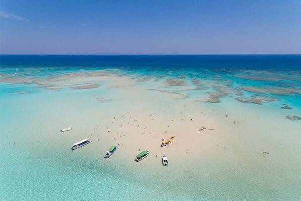 요론섬 / 온라인 커뮤니티