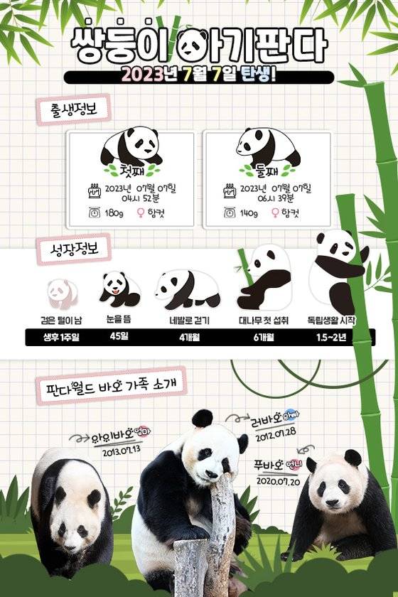사진 에버랜드