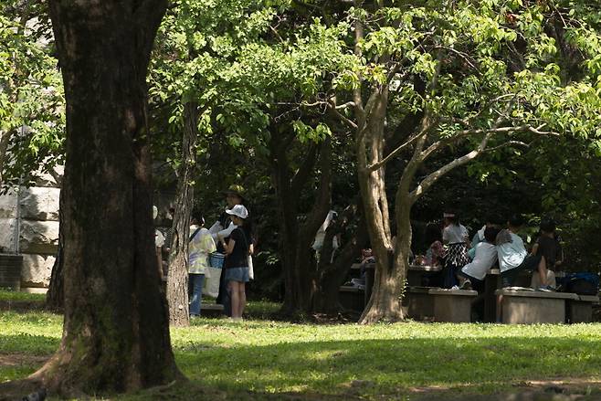 사람들이 오가도 대륙검은지빠귀는 크게 경계하지 않는다.