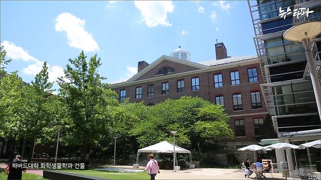 ▲ 하버드대학 화학생물학과 건물