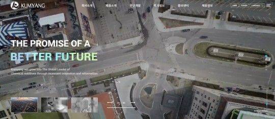 (금양 홈페이지 갈무리)