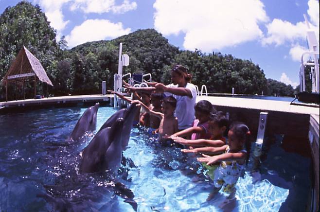 세계최대 비영리 돌고래 보호시설 '돌핀스퍼시픽'/사진=돌핀스퍼시픽 홈페이지