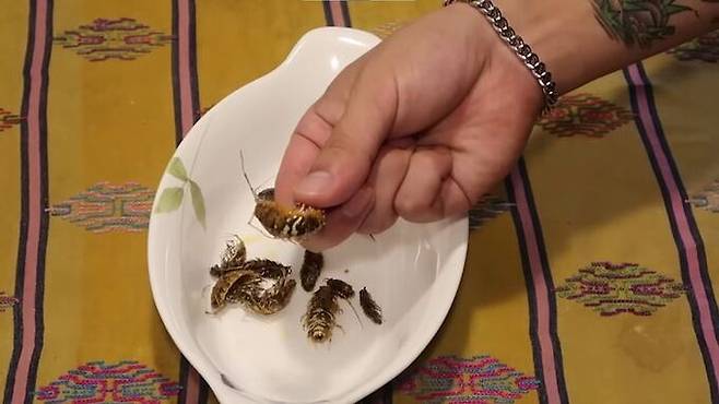 지난 2019년9월7일 유튜버 헌터퐝이 자신의 유튜브 채널에 '바다 바퀴벌레 갯강구를 먹어보자!'라는 제목의 영상을 게재했다. 사진=유튜브 '헌터퐝' 캡처, 뉴시스