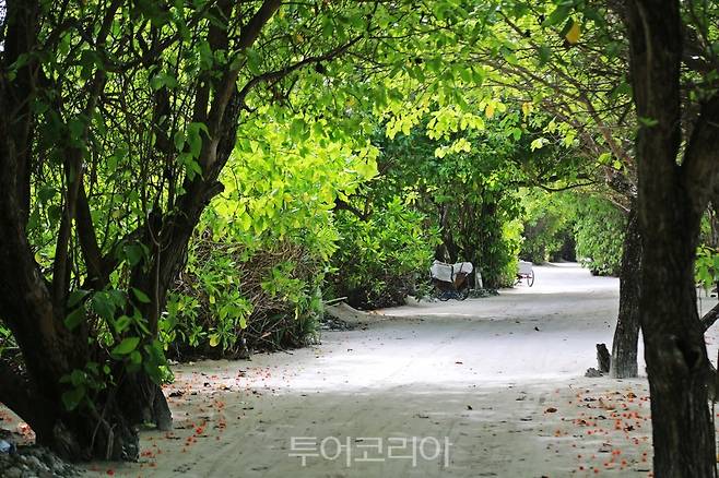 자연 그대로의 풍경이 끝도 없이 펼쳐진다. (사진. 김관수)