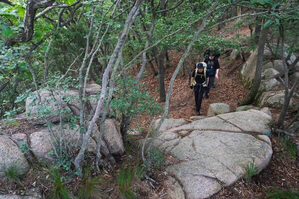 호룡곡산은 낮은 산이지만, 곳곳에 알찬 바위들이 숨겨져 있다.