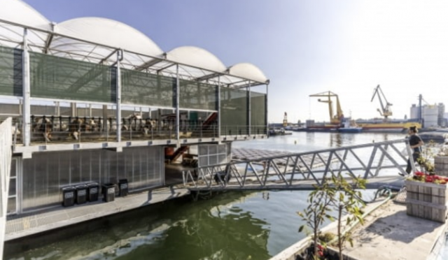 네덜란드 로테르담 강가의 수상 농장