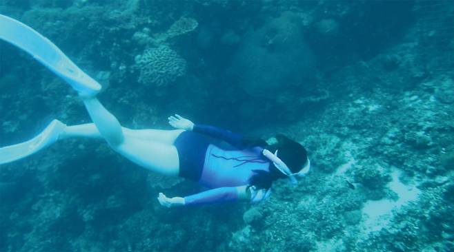 필리핀 보홀 바다에서 프리다이빙을 하고 있는 강서영 여수MBC 기자. 프리다이빙을 배우고 난 후 그는 여행지를 선택할 때 바다 속 시야가 맑은 곳을 선호하게 됐다고 한다.