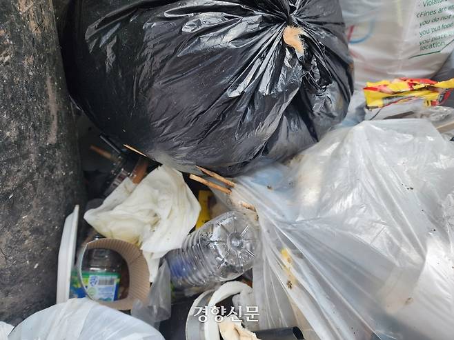 21일 서울 홍대 인근 탕후루 가게가 몰려있는 거리 모퉁이. 버려진 ‘탕후루 꼬치’가 쓰레기 봉투 안에서 튀어나와 있다. 강은 기자