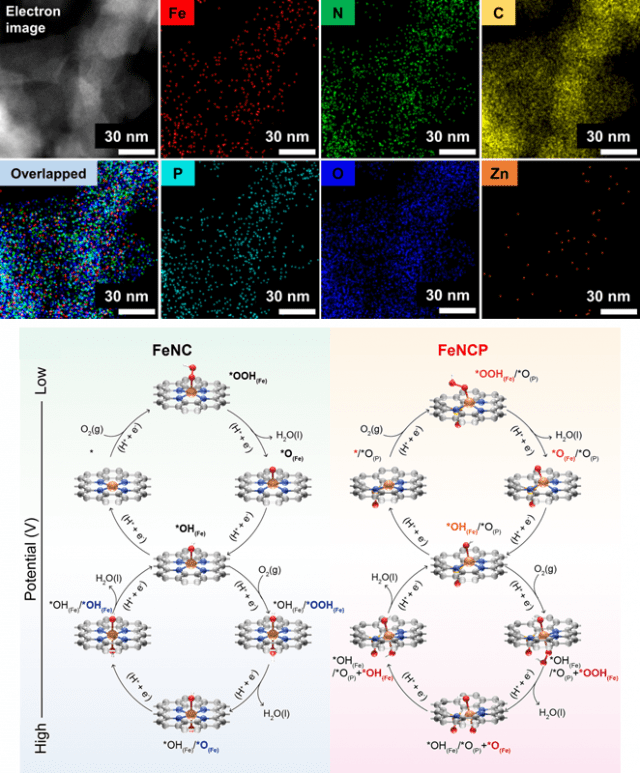 철-질소-탄소-인 원자분산촉매의 투과 현미경 이미지 (위)와 고활성 메커니즘(아래) (자료=KAIST)