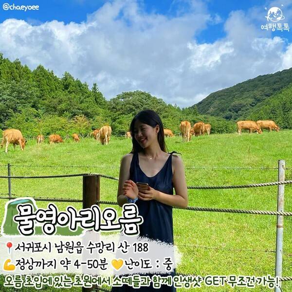 제주 오름 추천 / @chaeyoee