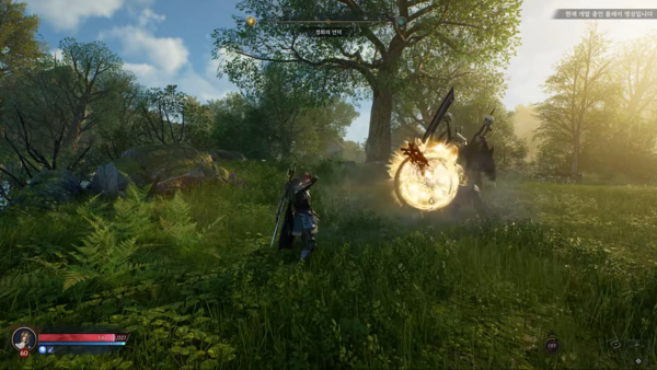 - 자동사냥에 대한 서구권 플레이어의 거부감과 반발이 컸다