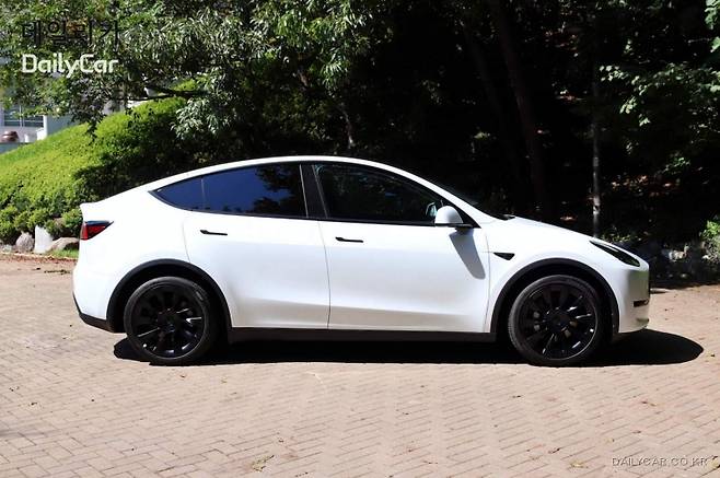 테슬라, 모델 Y RWD