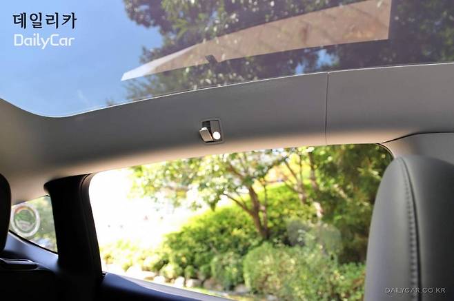 테슬라, 모델 Y RWD