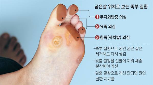 사진=신지호 기자, 그래픽=양인성