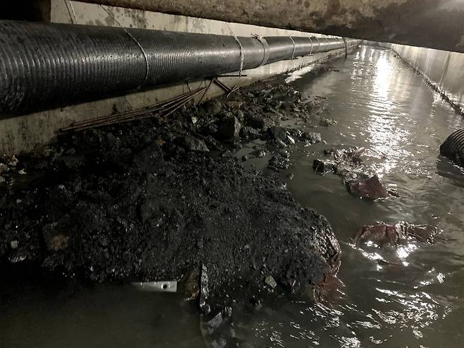 서울 강남구의 한 하수도에 쇳조각과 담배꽁초 등 각종 쓰레기가 뒤엉켜 있는 모습.