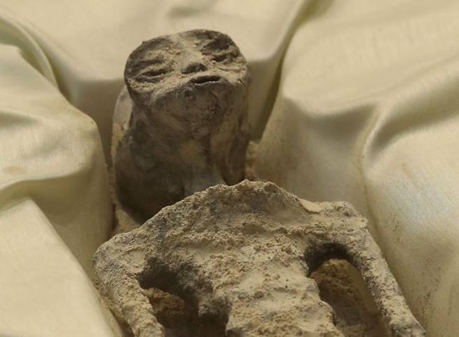 마싼은 이 두 사체는 2017년 페루에서 발견됐으며 이들의 연령은 700~1800세 정도로 추정된다고 말했다. 이들 사체는 세 개의 손가락을 가지고 있고 앞뒤로 길쭉한 머리 형태를 하고 있다. [사진출처=로이터·연합뉴스]