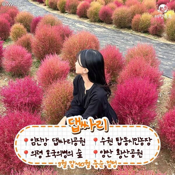 가을 데이트 코스 / @yyyun_ju_