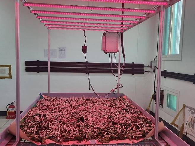 제로나인메트리얼이 구축한 PBM 곤충 스마트 사육장 / 출처=제로나인메트리얼