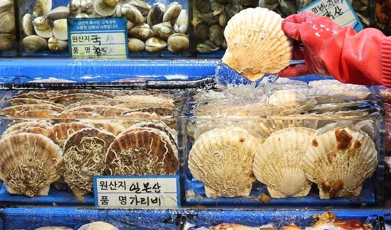 지난 18일 서울 동작구 노량진 수산시장에서 한 상인이 일본산 가리비를 꺼내는 모습. 뉴스1