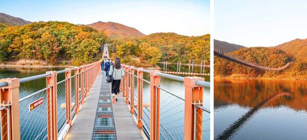 파주 가볼만한 곳 / 온라인 커뮤니티