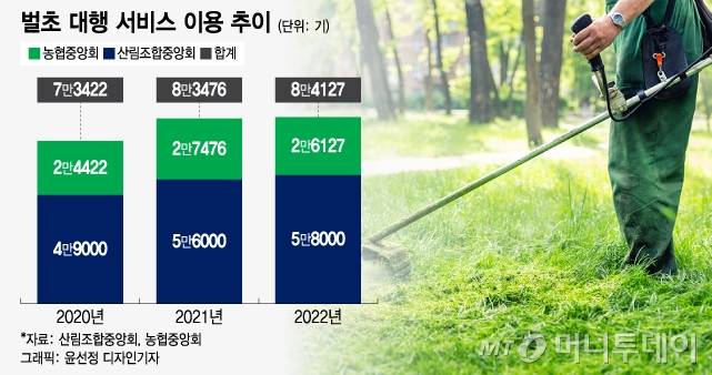 벌초 대행 서비스 이용 추이. /그래픽=윤선정 디자인기자