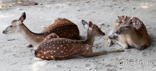 자료사진. 기사와 직접적인 연관 없음.