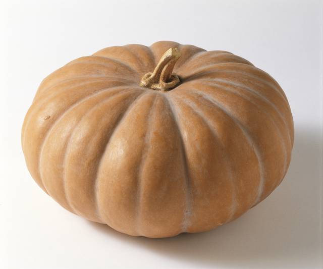 청둥호박. 이미지투데이