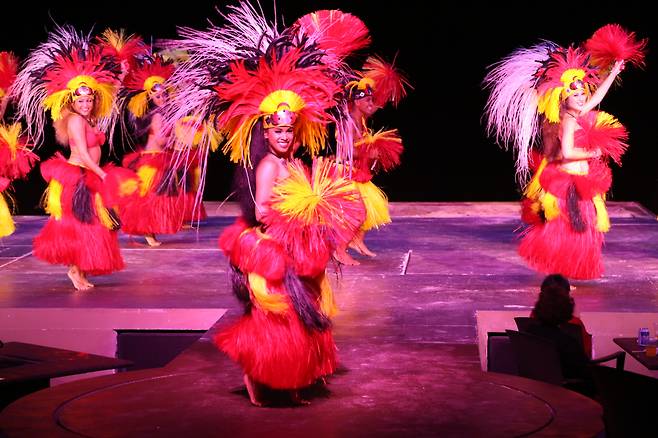 타오타오씨 디너쇼. 여성들의 화려한 춤