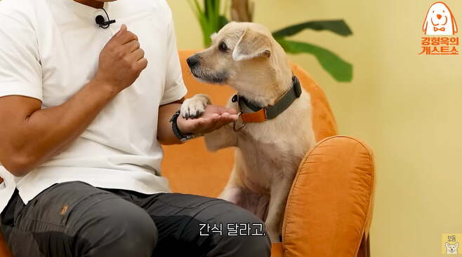 사진=유튜브 '강형욱의 개스트쇼' 방송 캡처본.