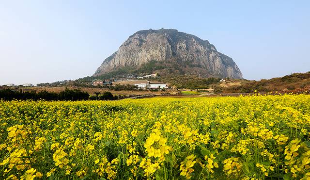 게티이미지뱅크