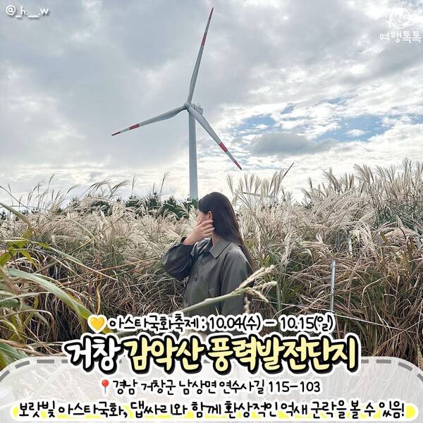억새 명소 추천 / ⓒ여행톡톡