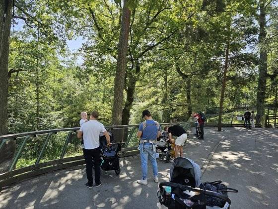 스웨덴 스톡홀름에 위치한 야외 동물원 ‘스칸센(Skansen)’. 나상현 기자
