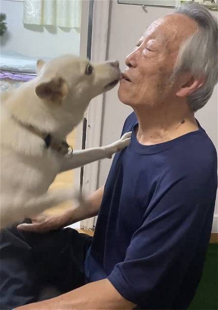 꼬물이 때부터 7년이나 함께한, 행운이의 유일한 가족인 할아버지. 세월은 빠르게 흘러 할아버지는 86세가 되었고, 심장에 박동기를 넣는 수술까지 받았다. 평생 건강하다 믿었던 할아버지는 몹시 걱정이 되었다. 돌연 떠났을 때 홀로 남을 행운이가./사진=행운이가 너무 귀여워 할아버지가 부러운 남형도 기자