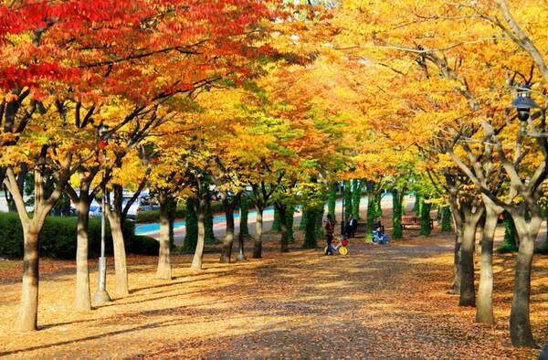 온라인 커뮤니티