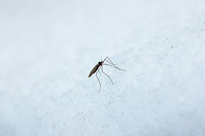 사진=게티이미지뱅크