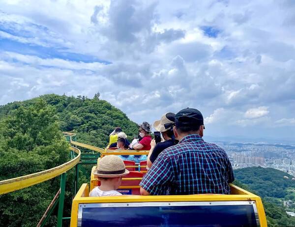 온라인 커뮤니티