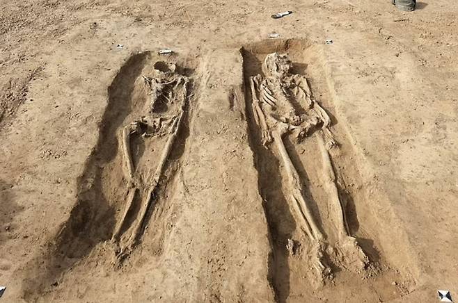 최근 독일 작센주의 옛 왕궁터에서 발견된 미라들. 부부로 추정되며, 왼쪽 여성 미라의 얼굴뼈가 완전히 제거된 독특한 형태로 발견됐다. 사진 DPA